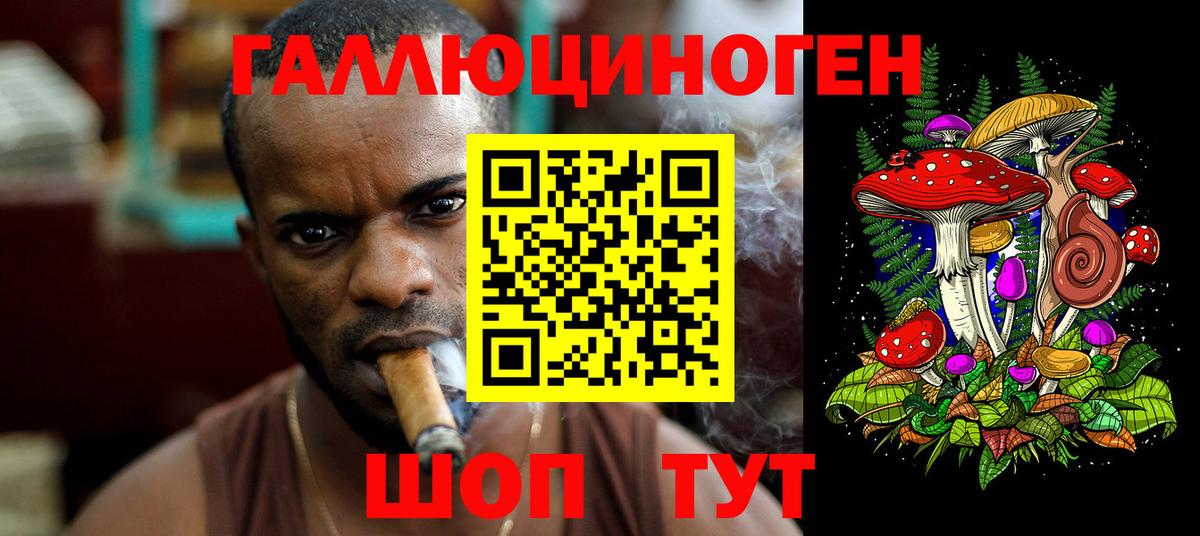 Галлюциногенные грибы Psilocybe  Вход с VPN  Нефтекумск 