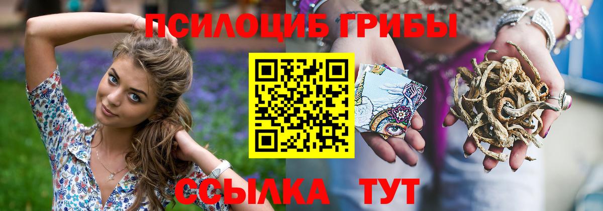 Псилоцибиновые грибы Psilocybine cubensis Нефтекумск